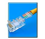 Modular Plug CAT6