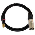 Microphone Cable (RCA Plug To XLR Plug)