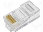 RJ45 Modular Plug